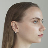 TAI JEWELRY Earrings Small Hook Earring With Cz Charm